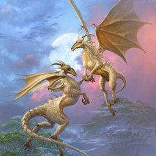 Схема вышивки «драконы»