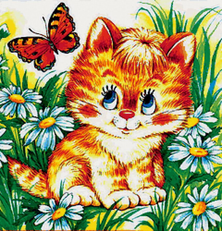 Лето - ромашки, бабочка, лето, котенок - предпросмотр