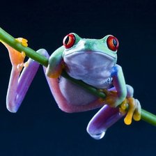 Схема вышивки «жаба»