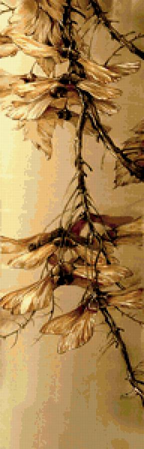 Ветка - природа, растения - предпросмотр