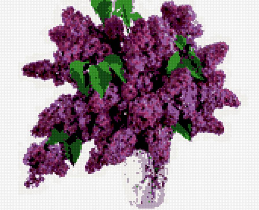 сирень - букет, цветы, сирень - предпросмотр