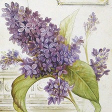 Схема вышивки «Панно "Ветка сирени"»