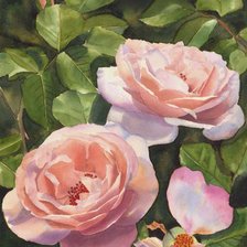 Схема вышивки «розы»