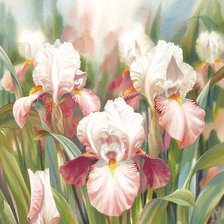 Схема вышивки «ЦВЕТЫ»