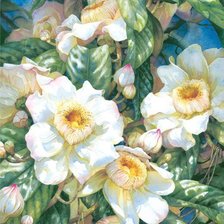 Схема вышивки «ЦВЕТЫ»