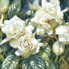 Схема вышивки «ЦВЕТЫ»