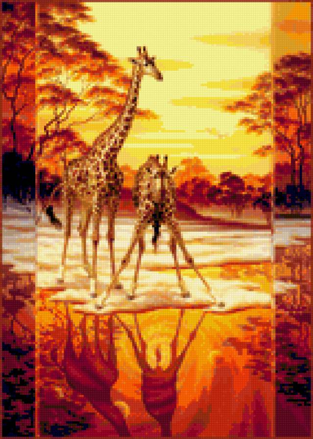 Жираф - животные - предпросмотр