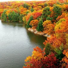 Схема вышивки «Осень»