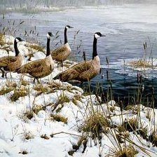 Схема вышивки «Птицы на озере»