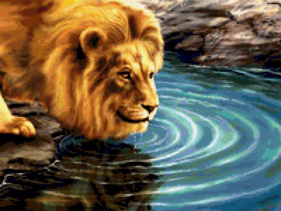 №279139 - львы - предпросмотр