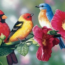 Схема вышивки «птицы Бредли Джексона»