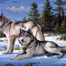 Схема вышивки «волки»