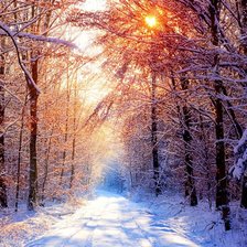 Схема вышивки «Зимний лес»