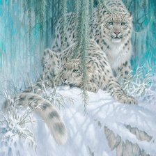 Схема вышивки «Барсы»