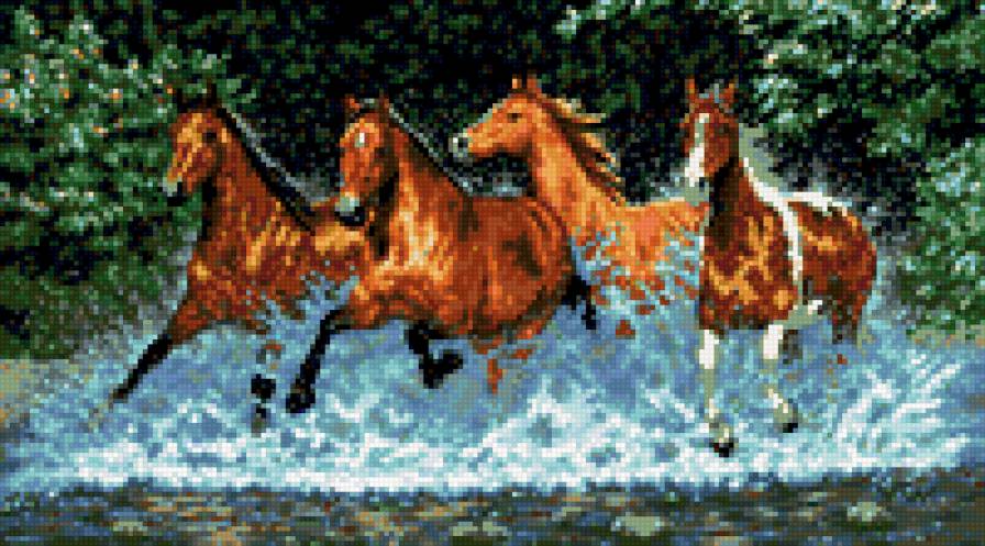 Кони - животные. кони. - предпросмотр