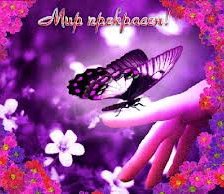 Схема вышивки «бабочка»