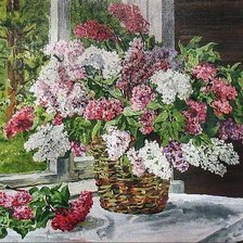 Схема вышивки «№279579»