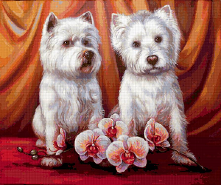 Милашки - цветы, пара, домашние животные, друзья, друг, собака, орхидея - предпросмотр