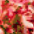 Предпросмотр схемы вышивки «розы» (№279735)