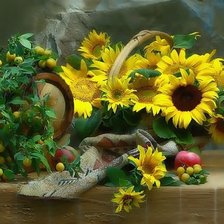 Схема вышивки «Подсолнухи»