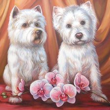 Схема вышивки «Пушистые милашки»