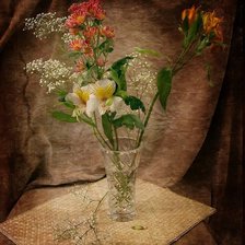 Схема вышивки «31»