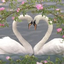 Схема вышивки «лебеди»