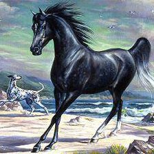 Схема вышивки «конь»