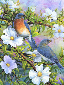 птицы - сад, птицы, цветы - оригинал