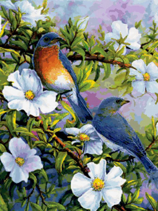 птицы - сад, птицы, цветы - предпросмотр