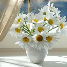 Схема вышивки «camomile»