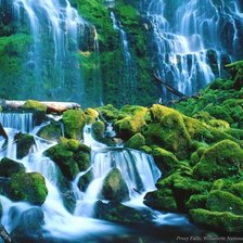 Схема вышивки «№280247»