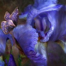 Схема вышивки «синева»