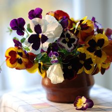 Схема вышивки «Анютины глазки»