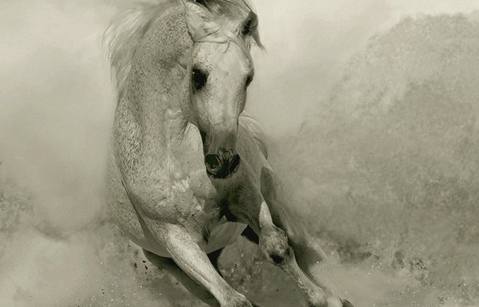 лошадь - лошадь - оригинал