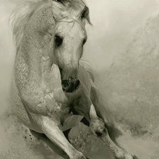 Схема вышивки «лошадь»