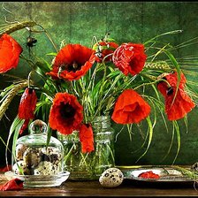 Схема вышивки «маки»