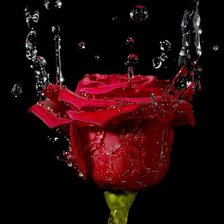 Схема вышивки «роза»