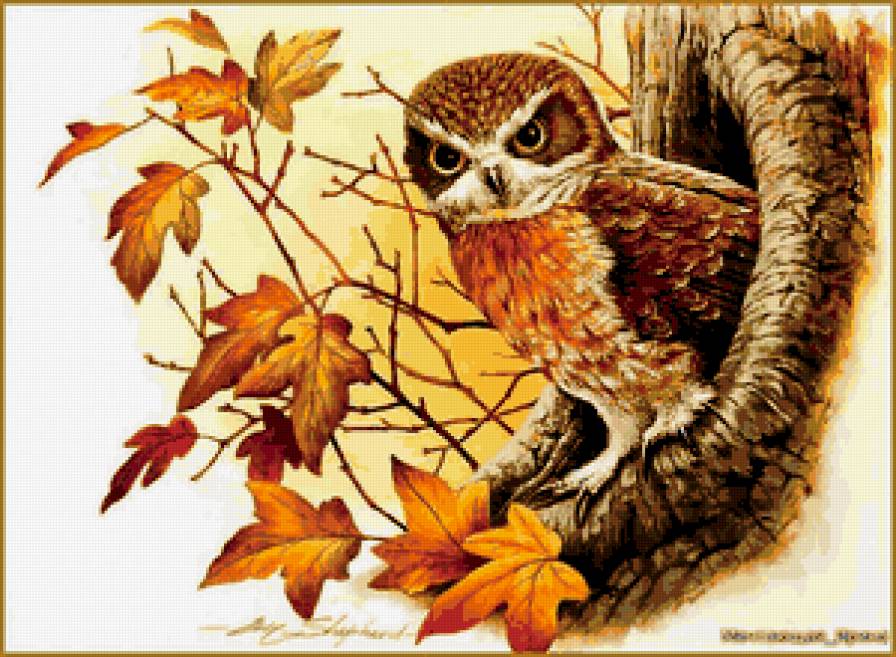 Совушка - предпросмотр