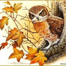 Схема вышивки «Совушка»