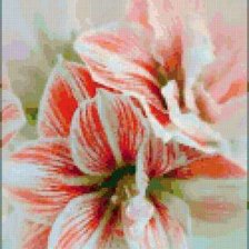 Схема вышивки «цветы»