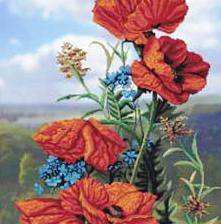 Схема вышивки «Маки и незабудки»