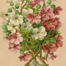 Схема вышивки «букет цветов»