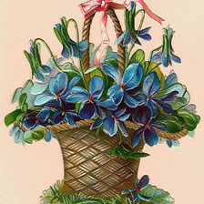 фиалки в корзине