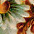Предпросмотр схемы вышивки «ромашки» (№281052)
