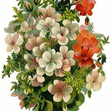 букет цветов