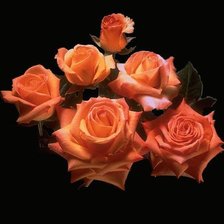 Схема вышивки «розы»