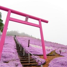 Схема вышивки «Весна в Японии»