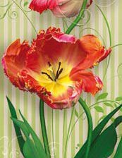 Схема вышивки «тюльпаны :) 2»