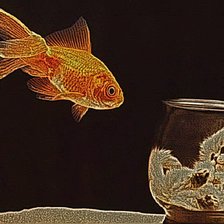 Схема вышивки «доигрался»